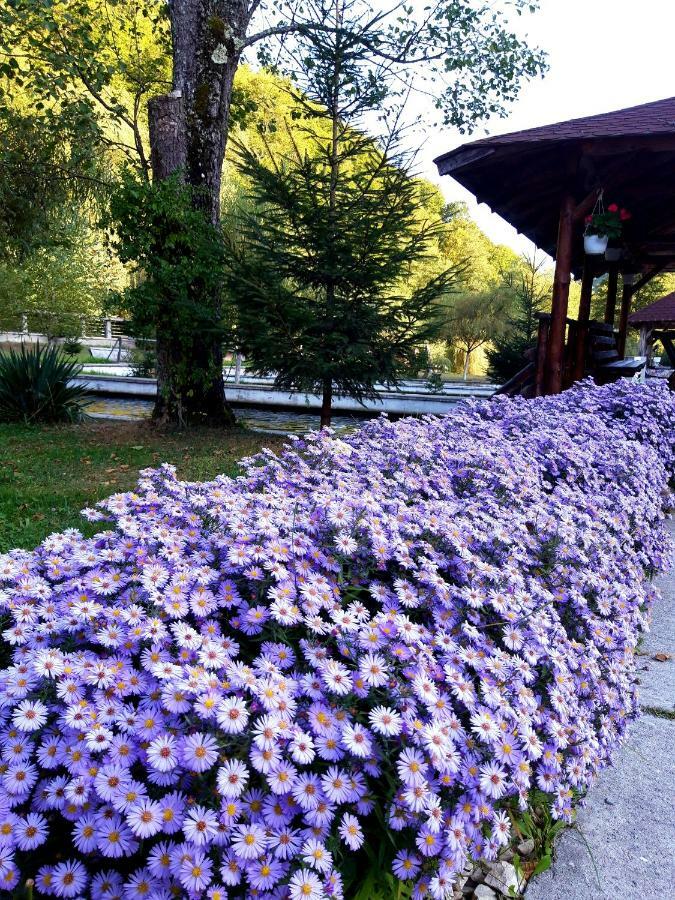 Pastravaria Cascada Rausor Hotell Berevoesti Exteriör bild