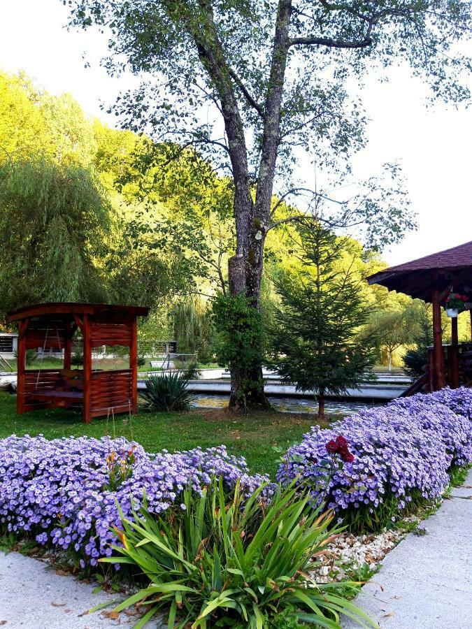 Pastravaria Cascada Rausor Hotell Berevoesti Exteriör bild